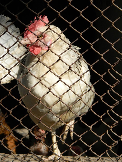 或许可以用 或许可以用