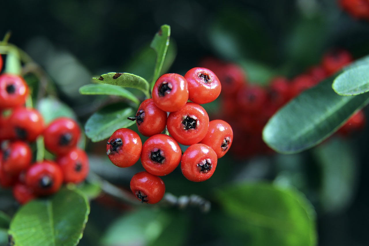 家青训营培 家青训营培