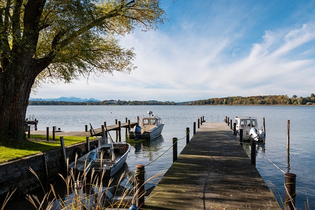 这位近年来 这位近年来