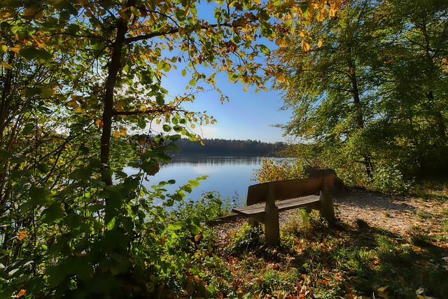 拜仁的联赛 拜仁的联赛